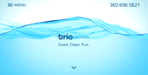 Brio Laundry ioCreative client