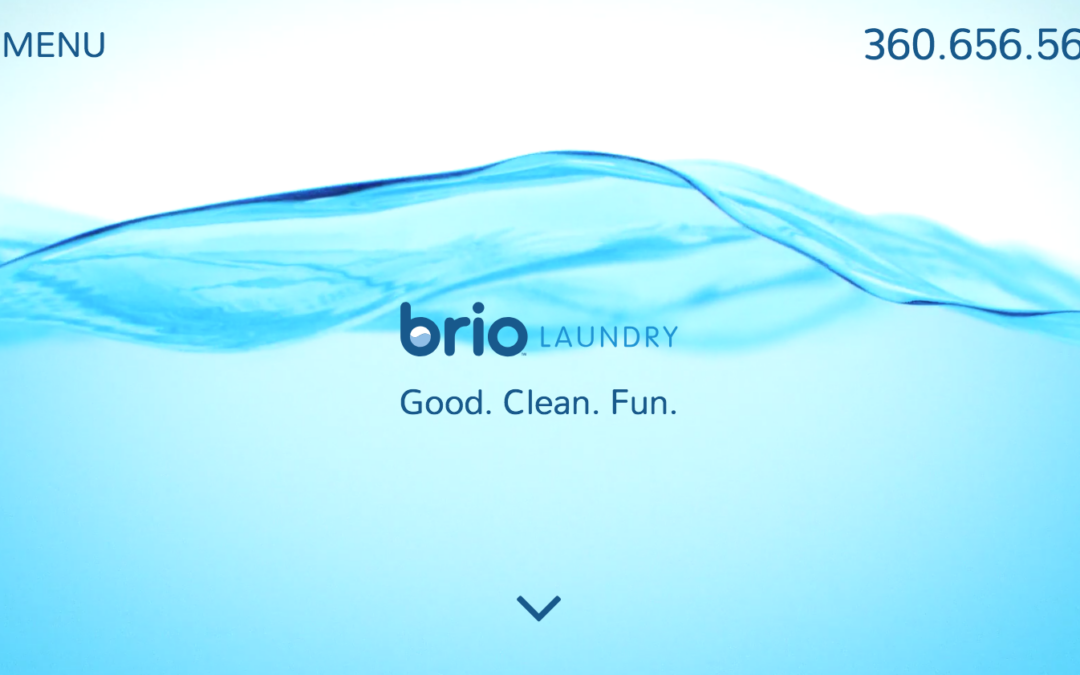 brio-web-snapshot